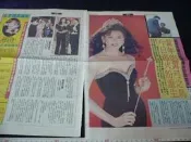 ◎貓頭鷹露天尋星窩◎明星內頁專賣PE391-164盧淑芳2張2頁報導照片