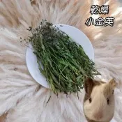 【尼拜約草本植栽所】乾燥 小金英 牧草 無農藥 低溫乾燥 寵物食草 寵物牧草 寵物零食 兔子 貓 犬