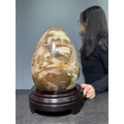 【合雅藝品】印尼料【木化石 恐龍蛋】招財開運 樹化玉 招財奇石 鎮宅 景觀石 奇石 轉運石 