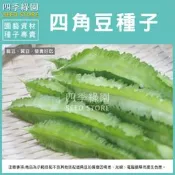 四棱豆，翼豆、楊桃豆、四角豆、香豆、羊角豆、龍豆、翅豆、豆菜【四季綠園】