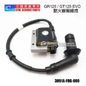 SYM三陽原廠 點火線圈 GR125、GT125 EVO 含火星塞蓋 高壓線圈 發電線圈 矽導線 F8G
