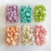 【材料王批發｜台灣現貨】「漂白小雛菊」麥稈菊花頭｜乾燥花 永生花 小菊花