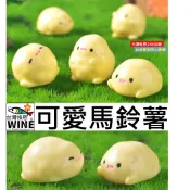 WINE台灣惟恩 微景觀 可愛馬鈴薯 馬鈴薯 土豆 園藝 室內佈置