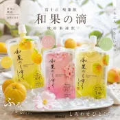【餅之鋪】日本 富士正 吸凍飲 梅子風味 柚子風味 櫻花風味 120g
