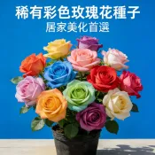 現貨🌹香水玫瑰種子大全 濃香型薔薇月季花重瓣花卉種籽 新手栽培入門款 庭院陽台盆栽 耐寒植物 地栽盆栽皆宜 當季可種