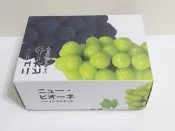 葡萄禮盒/水果禮盒/葡萄紙盒/紙箱/空紙盒/禮品禮盒/禮物盒/收納盒/置物盒/教具盒/空盒/二手禮盒/送禮紙盒