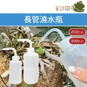【花園夢想家】長管澆水瓶 洗滌瓶 滴水壺 彎嘴滴壺 擠壓式尖嘴瓶 澆水壺 花草澆水瓶 多肉 小盆栽 辦公室