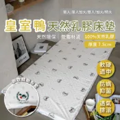 Royal Duck皇室鴨-100%純天然乳膠床墊 單人加大單人雙人加大特大 厚7.5cm -棉花糖屋
