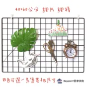 Eeyore🌿 40x60 彩色網片 井網 網格 格子網 格網 網片 網子 鐵網 小網片 魔片 烤漆網片 平面網 L網