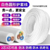 玉城商業企業社 【台灣公司】珠江國標白色RVV護套電線2芯3芯1.52.5平方電纜線戶外充電電源