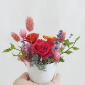 開運招財盆栽盆花 母親節永生康乃馨花束送禮物盒蛋糕卡片畢業母