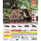 ★OH!我的蛋蛋★🔥現貨🔥 生物大圖鑑 獨角仙 10 扭蛋 轉蛋 高卡薩斯南洋大兜蟲 五角大兜蟲 美西白犀金龜 昆蟲模型