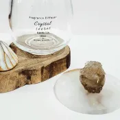 鈦晶龍龜/正偏財都招、避邪擋煞之水晶