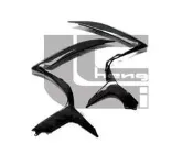 理誠國際 LCCB 碳纖維 前 Z型 側板 側殼 整流罩 Suzuki GSX-R600 GSX-R750 06-07