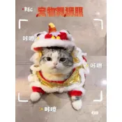 寵物衣服 舞獅服 萬聖節衣服 狗狗衣服 柯基法門 舞龍舞獅狗狗衣服 醒獅 紅色 搞笑新年 招財貓咪衣服 醒獅搞笑狗狗衣服