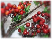 ◎花語人造花資材◎＊3色款狀元紅果支＊花藝盆景配花~居家擺設~櫥窗~店面~會場佈置