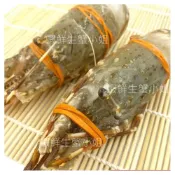 (店+)【蝦鮮生蟹小姐】生凍小龍蝦 150-200克/隻
