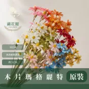 [閉店出清] SH54 原裝木片瑪格麗特｜乾燥花批發 瓜子花 小雛菊 不凋花 木春菊 花藝設計 拍照道具 手工花 ...