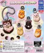 風之谷玩具 T-ARTS 轉蛋 扭蛋 圓圓動物吊飾 小狗篇 巴哥 吉娃娃 柴犬 全6種 整套販售