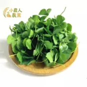 現貨隔日寄【非基改】澳洲進口苜蓿芽種子 芽菜種子 高發芽率 水耕栽培 7天收成 生機飲食 綠拿鐵 生菜沙拉 居家自種