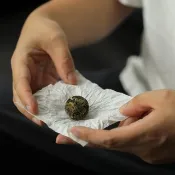 自慢堂 慢白龍珠 無量山普洱白茶