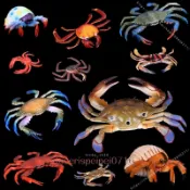 臺灣出貨 仿真螃蟹 假梭子蟹大閘蟹模型 海洋動物龍蝦小道具 兒童認知玩具擺件 不可食用