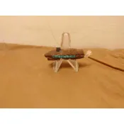 龍普英/神獸巴拉吉~~