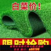 豪旭國際貿易企業社 【台灣公司 可開發票】仿真草坪綠地地毯草皮陽光房人造塑料隔熱戶外幼兒園圍擋綠色裝飾