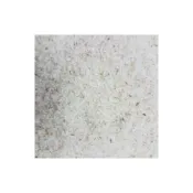 (店+)洋車前子（半斤/300g)