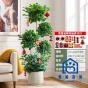 蒙麗百貨 免運/公司貨 【仿真裝飾植物】大型多層幸福樹 盆栽 造型大老樁樹 室內客廳植物 四季常青花卉綠植全館折扣 售後保障 店長新品推薦 6m1115