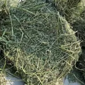 【萌寵健康牧草屋】牧草批發優質25公斤草捆提摩西一割百幕達苜蓿燕麥草飼餵兔子龍貓豚鼠荷蘭豬牛羊馬牧草