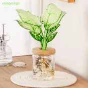 VHDD 環保透明灰色水培塑料花盆蕨類植物印花木蓋用於家庭辦公室盆栽植物裝飾 TW