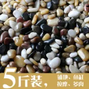 協貿國際日用品生活6館 天然南京雨花石鵝卵石五彩原石花盆園藝魚缸鋪路石頭多肉庭院裝飾
