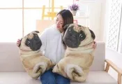 ☆汪汪鼠☆【2尺寸】仿真沙皮狗玩偶 絨毛娃娃 抱枕 靠墊 告白情人節畢業禮物 聖誕節交換禮物