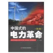 中國式的電力革命 - 吳疆 著 - 2019-04-01 - 科學技術文獻出版社 - 11