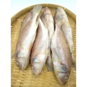 (店+)【蝦鮮生蟹小姐】白口魚殺清 120/150  一包10隻裝