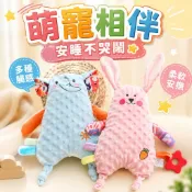 安撫玩偶 哄睡神器 安撫娃娃 寶寶安撫娃娃 安撫兔 牙膠 寶寶安撫玩具 安撫巾娃娃 嬰兒安撫娃娃 牙膠可入口
