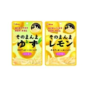 【LION】日本零食 獅王 糖漬檸檬皮 糖漬柚子皮絲 隨手包 夾鏈袋 果乾 蜜餞 辦公室零食 外出零食 解饞零食