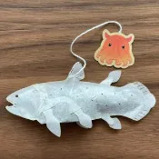 腔棘魚 teabags藍色檸檬草薄荷茶　4包。