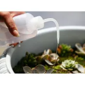 植物澆水瓶 多肉植物專用噴壺  按壓澆水瓶 澆水壺 多肉澆水 彎管澆水器 擠壓式尖嘴澆水瓶 澆水利器澆花壺 澆水瓶