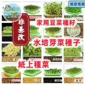 🔥🔥【20款芽苗菜種子】水耕/紙上種菜全組合｜蘿蔔嬰/空心菜/苜蓿/豆芽｜非基改 健康生菜｜室內免土栽培 快速收成現貨