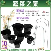 【蔬菜之家】蘭花盆 蘭花吊耳鐵線│3.5吋 4吋 4.5吋 5吋-10入組(賣場另有販售6吋~1尺蘭花盆單入) P塑膠盆