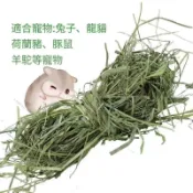 【原生牧草小舖】戶外室內皆可餵食萌寵牧草 居家養兔兔 天竺鼠 豚鼠 荷蘭豬 龍貓 陸龜 牧場牛馬羊 放養搭配草料