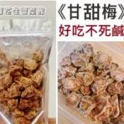 推薦🔥 【甘甜梅】甜菊梅/梅子/酸梅/好吃不死鹹 ❗️《大包裝300G》密餞批發 果乾批發