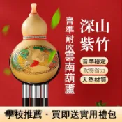 風鈴草百貨 天然紫竹葫蘆絲樂器c調小學生降b調初學專業演奏型兒童專用七孔