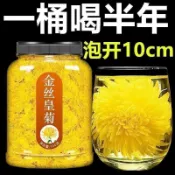 🚀金絲皇菊 特級大菊花 黃菊 一朵一杯 菊花枸杞決明子茶 金絲皇菊罐裝無硫