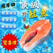 野生超厚切頂級鮭魚 滿足小鳥胃5片組(350克±10%/片)  共1750克