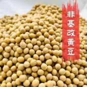 北海道十勝黃豆 加拿大非基改黃豆 大豆 黃豆 有機黃豆 發芽用黃豆 台灣黃豆 農藥檢驗合格600g【北港永吉農產行】