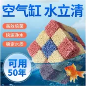 ［水族最便宜］培菌磚 多孔性蜂巢磚 濾材 陶瓷環 陶瓷磚 魚缸培菌濾材 魔方 培菌磚 培菌彩色魔方 培菌魔方 魚缸裝飾
