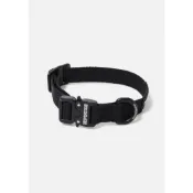 25SS NEIGHBORHOOD DOG COLLAR NARROW 全新正品 NBHD